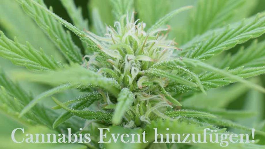 Cannabis Event hinzufügen