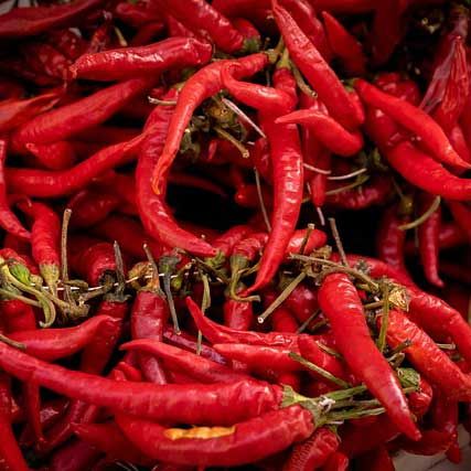 cannabis urlaub auf mallorca