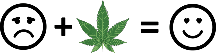 Weedsurfing & Cannabis Reisen