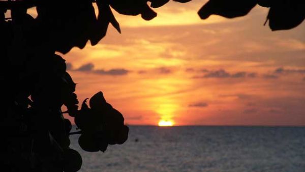 420 usa cannabisfreundliche unterkünfte