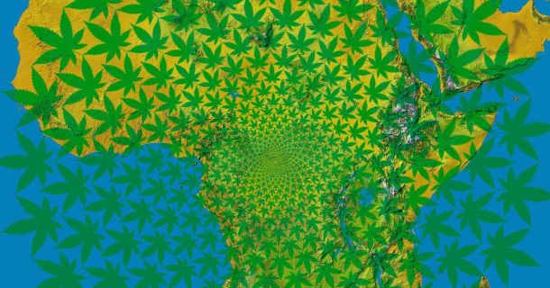 Hier findest du die Länder mit dem höchsten Cannabiskonsum in Afrika für deinen Cannabis Urlaub.