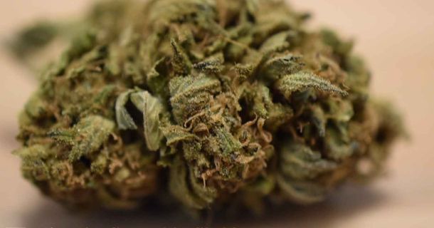 Was ist ein Cannabis Club?