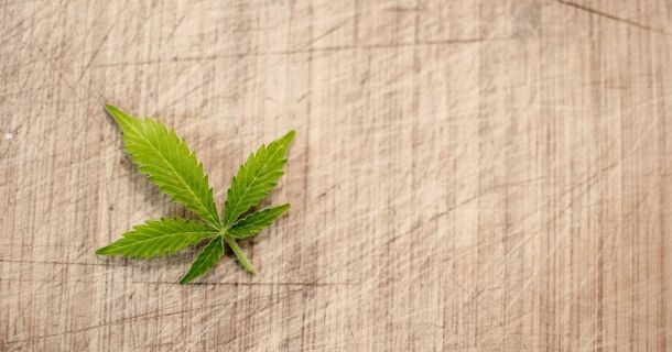 Cannabis Lebensmittelschau - CHICAGO 2020