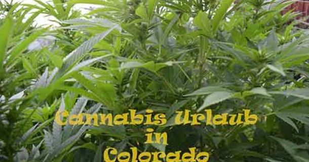 Cannabis Urlaub im Steam Train Hotel