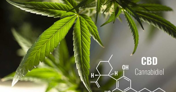 Ein CBD-Bad: Das ultimative Wellness-Erlebnis auf deiner Reise?