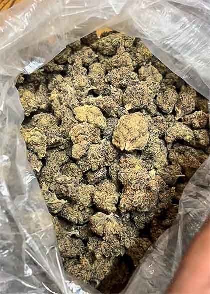 Cannabis Guide Touren in Kapstadt