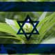 israel marihuana
