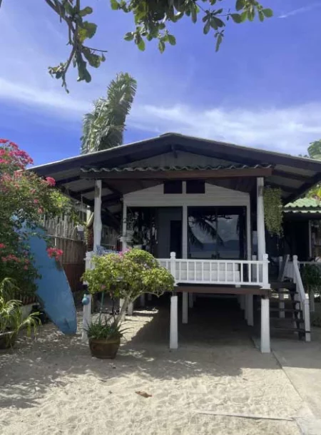 cannabis urlaub dream beach house