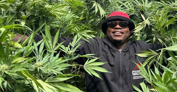 Der ultimative Cannabis-Guide für Kapstadt, Südafrika