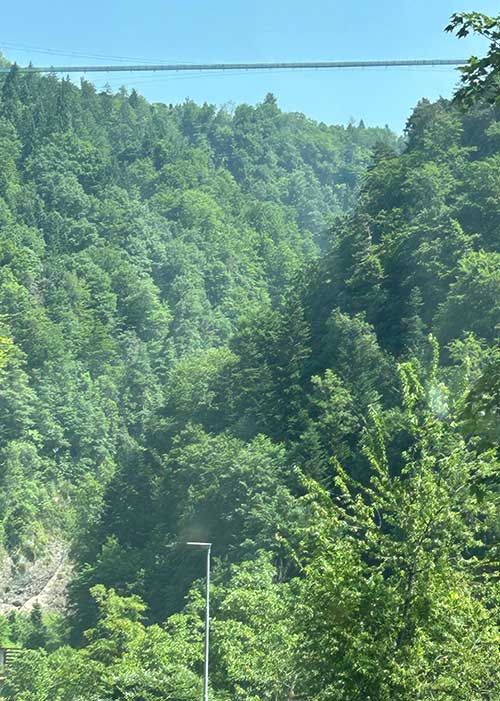 sigriswil hängebrücke cannabis guide