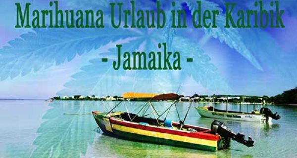 Irgendwo im Westen Jamaika High werden