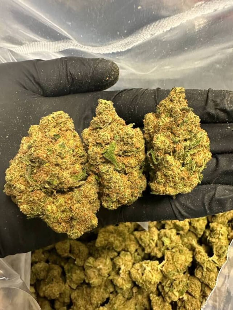 palanga cannabis