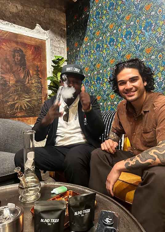 best cannabis guide kapstadt