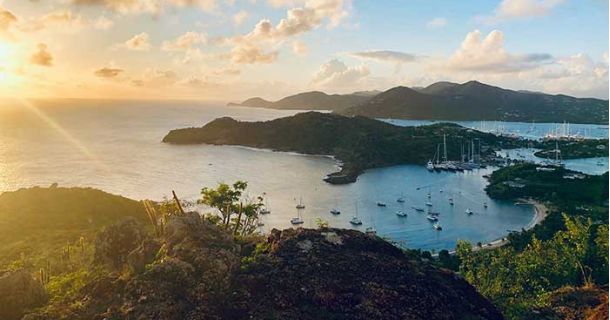 Humboldt Seeds in Antigua: Cannabis-Paradies Karibik