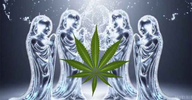Eisheilige & Outdoor-Cannabis: Vorsicht!