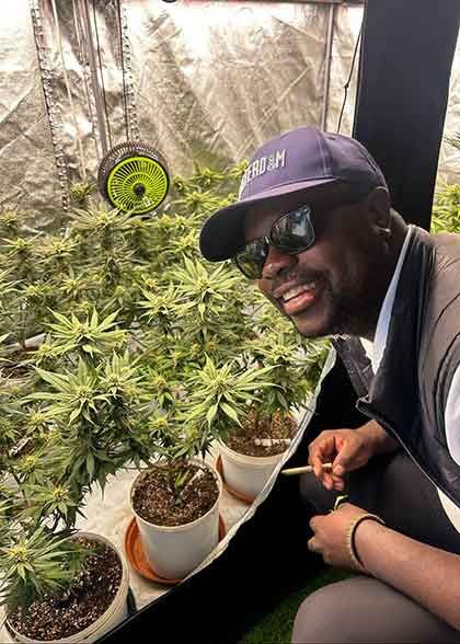 kuda cannabis guide kapstadt
