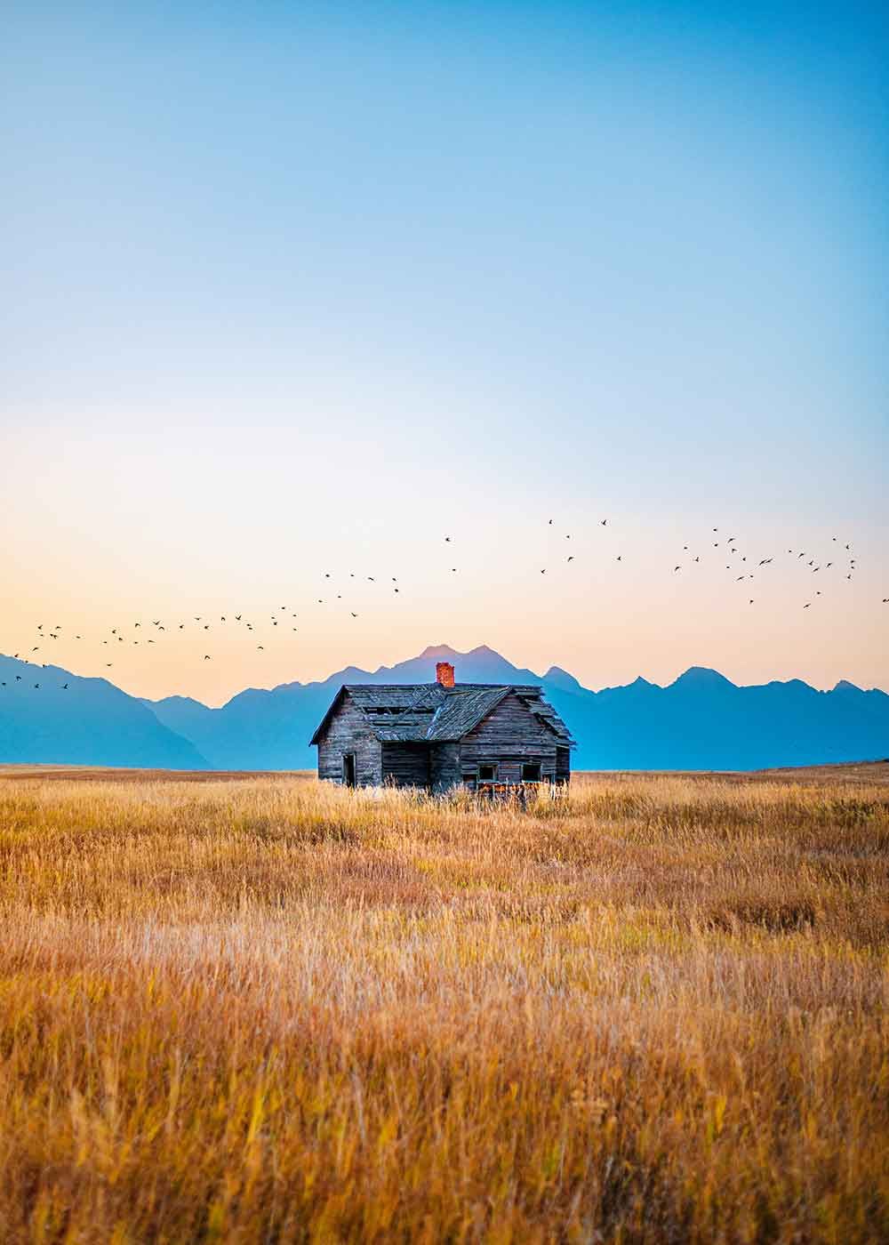 Montana