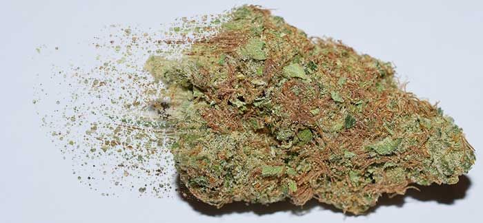 Kontakt Weed Lissabon