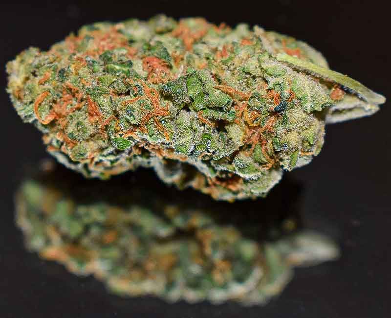 kiffer weed
