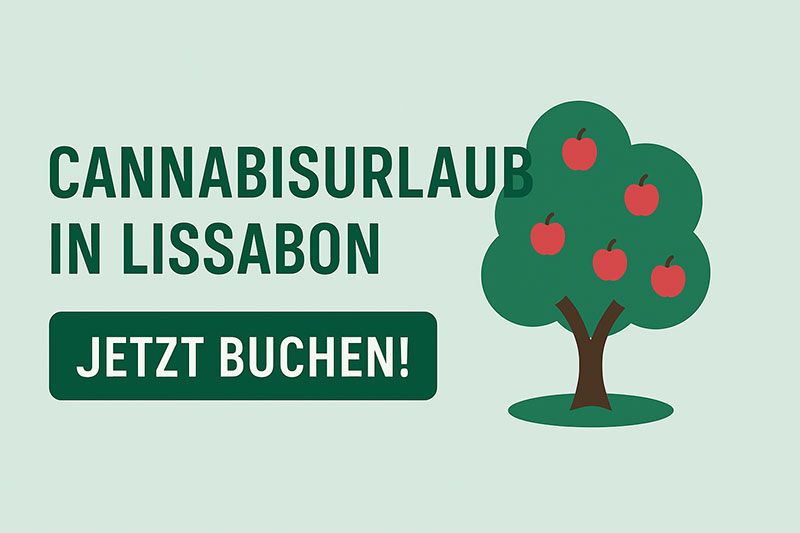 cannabis urlaub in lissabon