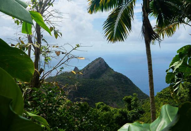 Saba Island – Geheimtipp für bewussten Cannabis-Urlaub