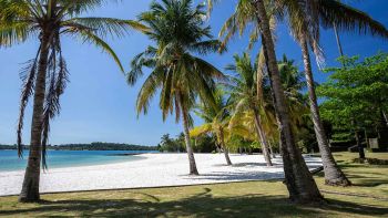 Koh Mak 420 – Dein Cannabisurlaub in Thailand