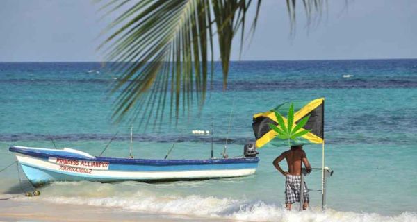 Paradise on the Rocks