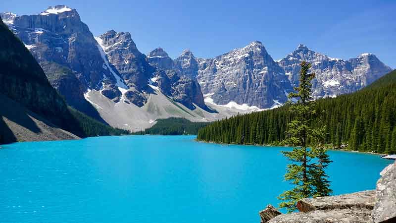cannabisurlaub usa
