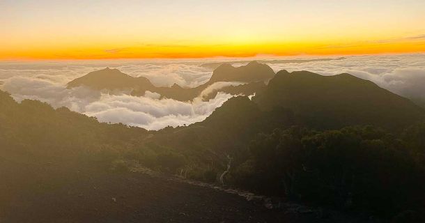 Cannabis-Urlaub Madeira: Sonne, Meer & CBD-Genuss