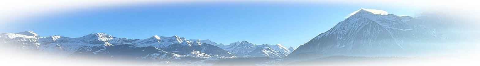 niesen thun