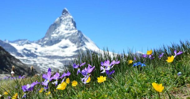 Cannabis Urlaub Berge: Entspannt ohne Auto reisen