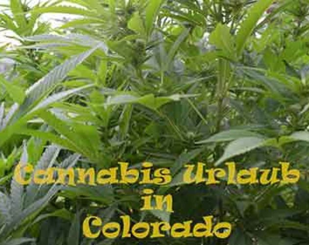 Cannabis Urlaub im Steam Train Hotel