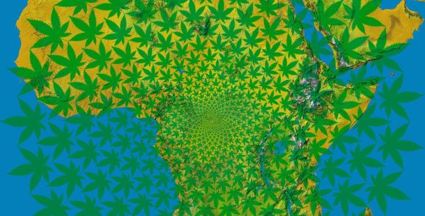 Hier findest du die Länder mit dem höchsten Cannabiskonsum in Afrika für deinen Cannabis Urlaub.