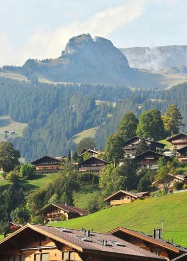 grindelwald cannabis guide tour