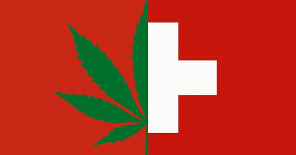 Geführte Cannabis-Guide-Touren in der Schweiz!