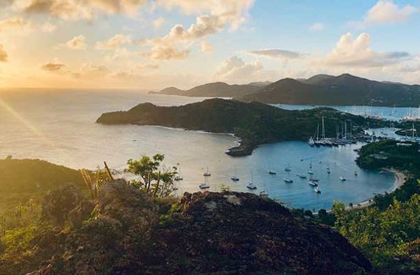 Humboldt Seeds in Antigua: Cannabis-Paradies Karibik