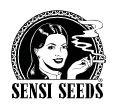 sensi seeds