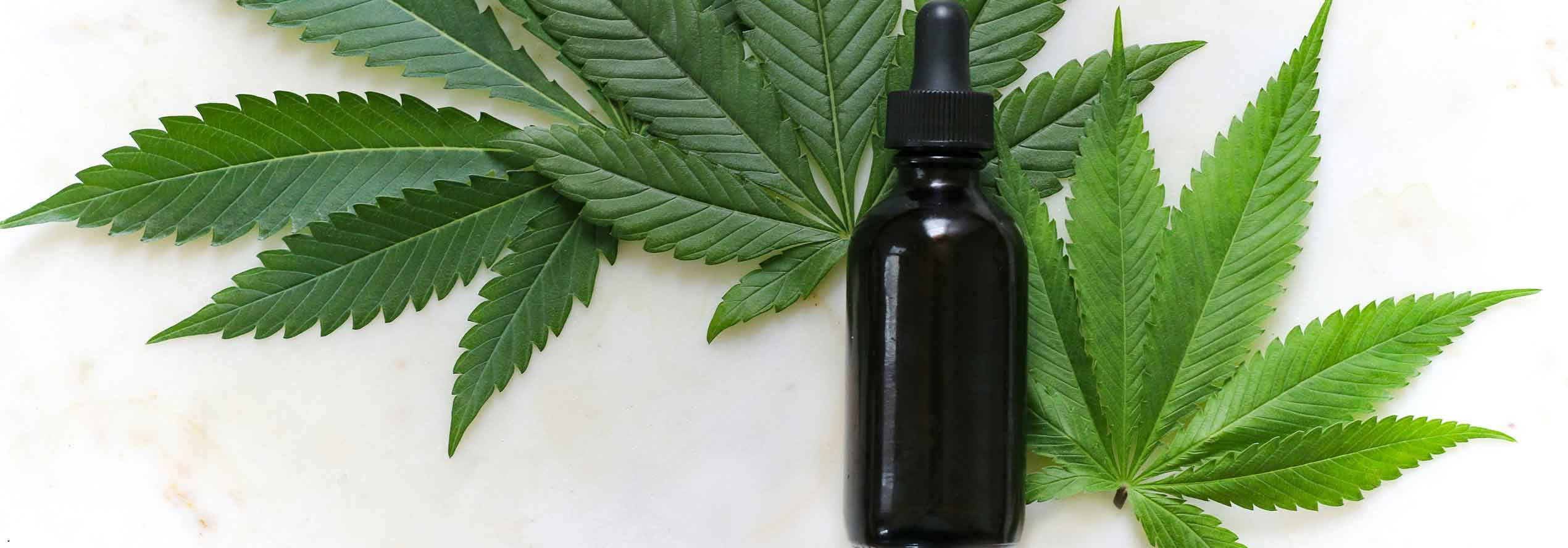 cannabis infundieren