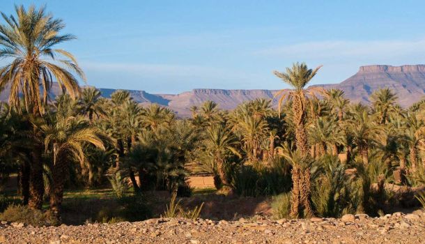 Cannabis Urlaub im Königreich Marokko