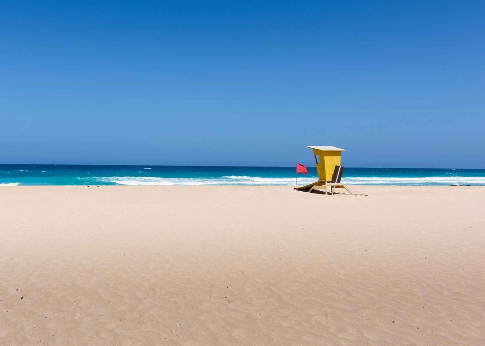 Cannabis Urlaub in Fuerteventura