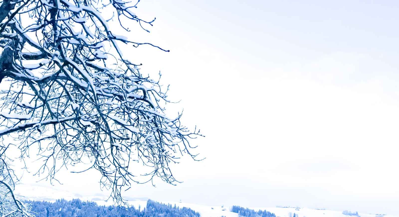 winter schweiz