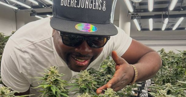 Wein & Cannabis-Guide Touren in Kapstadt erleben