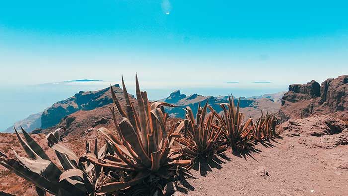 teneriffa reisein