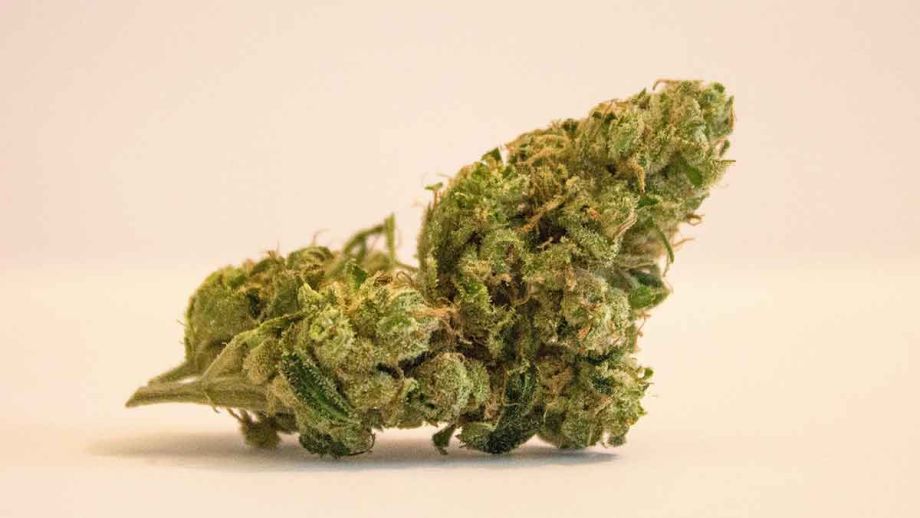 jamaica-weed