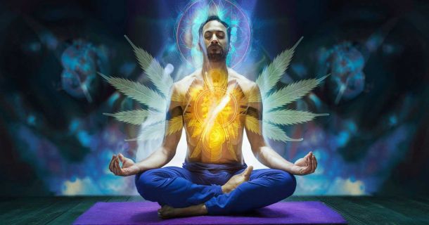 Spiritual Cannabis Academy: Kurse & Retreats
