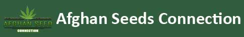 Afghan Seeds Connection