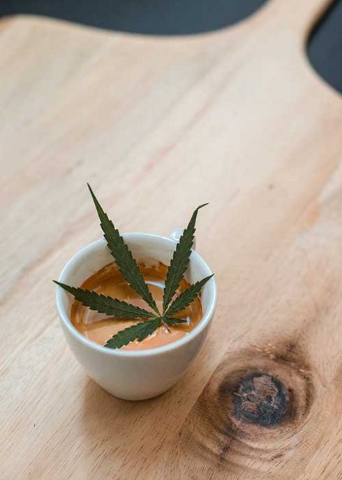weed reisen