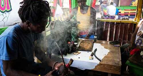 Cannabis Trip nach Jamaika "Starlight Chalet"