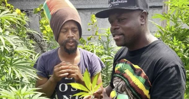 Cannabis-Kulturen der Welt: Eine Entdeckungsreise für Genießer und Abenteurer