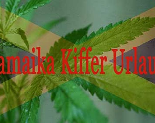 Ein "berrauschender" Kiffer Urlaub in Jamaika